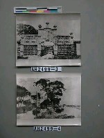 藏品(護國軍籌餉局（雲南）)的圖片